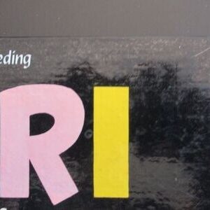 JARI-(T.02) JARI DANS LA TOURMENTE Rééd.1961 – Image 3