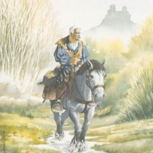 LES CHEMINS DE MALEFOSSE - (11) LE FEU SUR L'EAU - T.T. 500 ex. 2002 – Image 2